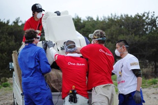 活動中-粗大ごみ搬出