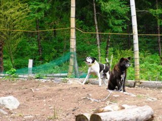 りみちゃんヒルズの様子