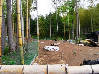 りみちゃんヒルズの様子