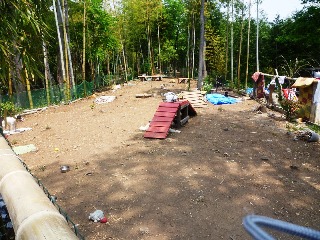 りみちゃんヒルズの様子