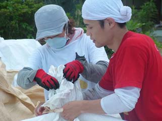 がれきの運び出された空き地