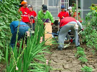がれきの運び出された空き地