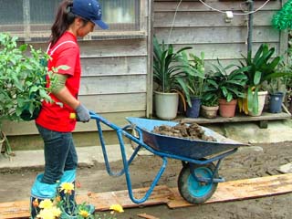 がれきの運び出された空き地