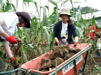 作業終了後の全景
