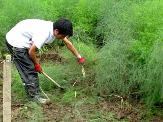 作業終了後の全景