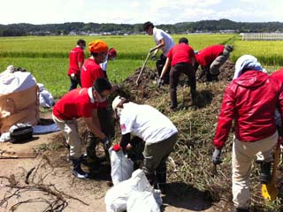 仕分けされたがれき