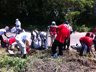 がれきの運び出された空き地