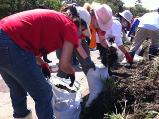 がれきの運び出された空き地