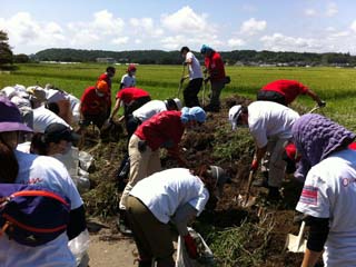 がれきの運び出された空き地