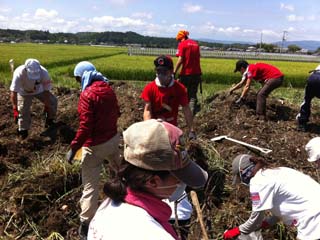 がれきの運び出された空き地