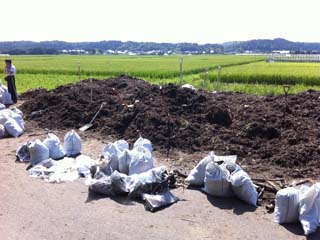 がれきの運び出された空き地