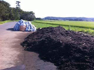 東京へ戻るバス